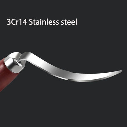 Double-Ended Stainless Coconut Opener with Wooden Handle