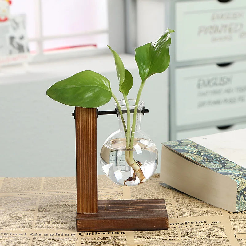 Vintage Glass Terrarium with Wooden Frame for Home Plants