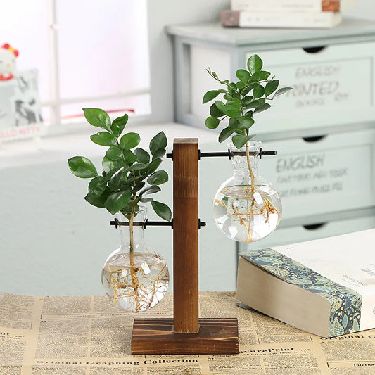 Vintage Glass Terrarium with Wooden Frame for Home Plants