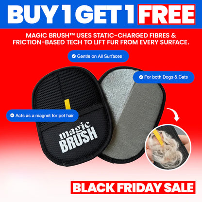 FurMagnet Glove - Buy 1 Get 1 Free