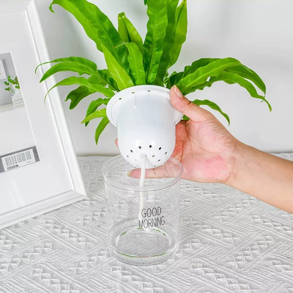 SHOP - Hydroponic Flowerpot - Housebia