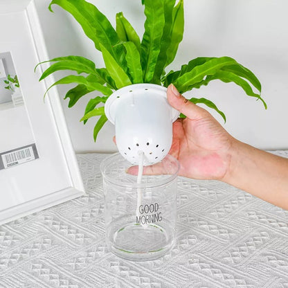 SHOP - Hydroponic Flowerpot - Housebia