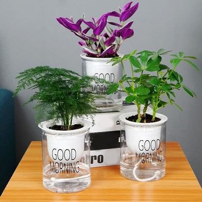 SHOP - Hydroponic Flowerpot - Housebia