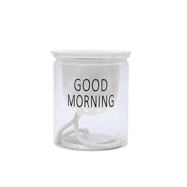 SHOP - Hydroponic Flowerpot - Housebia