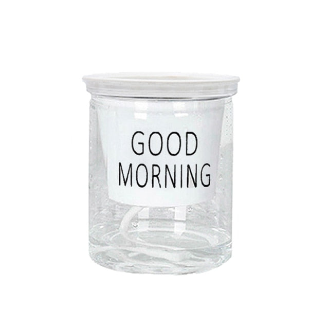 SHOP - Hydroponic Flowerpot - Housebia