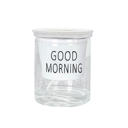 SHOP - Hydroponic Flowerpot - Housebia