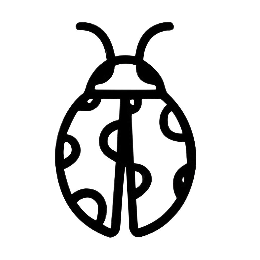 Ladybug