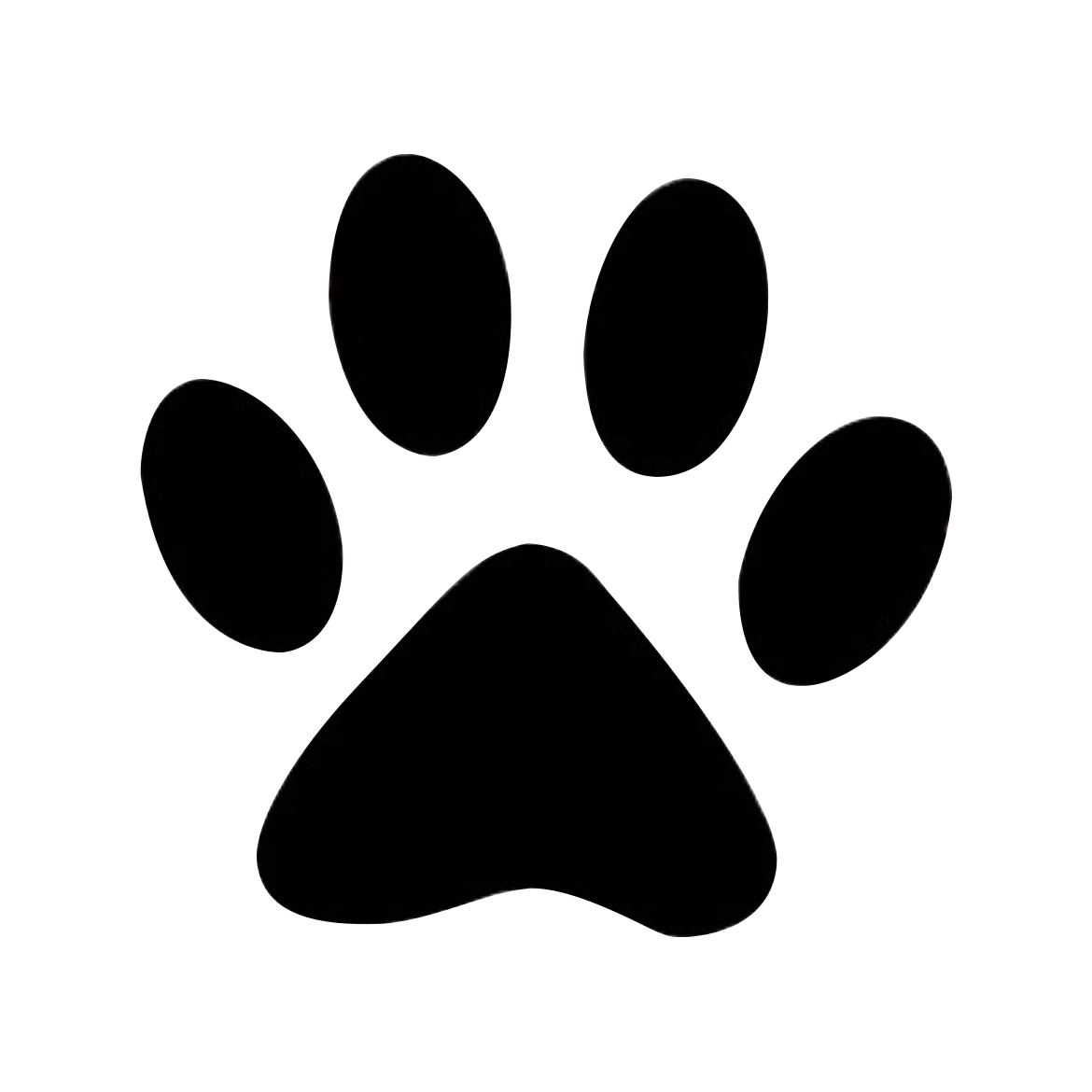 Paw